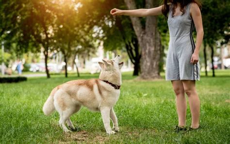 fotos de mujeres en 4|Fotos de Chica en cuatro patas de stock